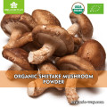 GMP HACCP EU organic certified shiitake mushroom extract powder